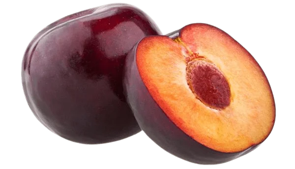 Plum