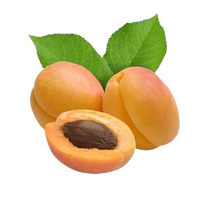 Apricot