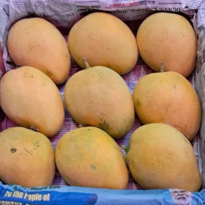 Safeda fruit - delhi fruit market