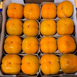 Persimmon (South Africa)