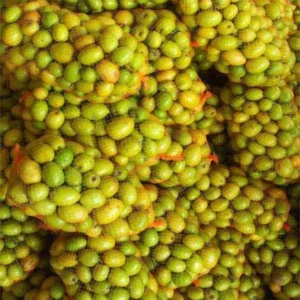 Gola Ber - delhi fruit market