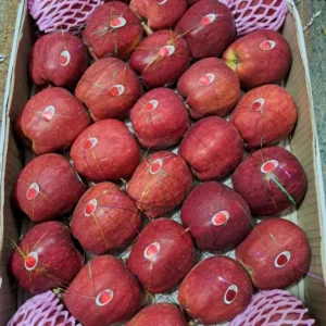 kinnaur Apple- 1 kg