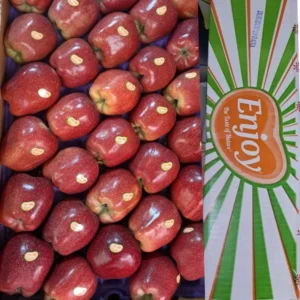 Apple Kinnaur-( CA ) Enjoy