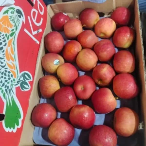 Newzealand fuji apple - 1kg