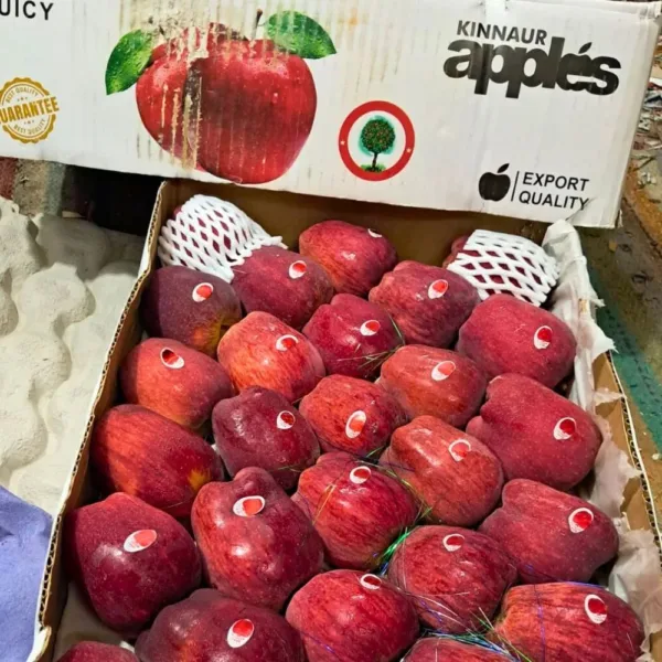Kinnaur apple- 10 Kg Box