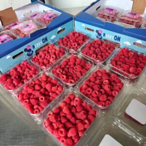 Raspberries (Thailand)