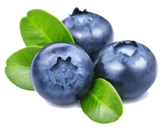 Blueberry