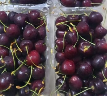 Kabul Cherry ( Afganistan )