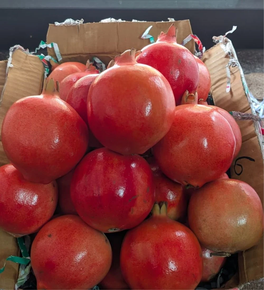 Anar – 1Kg ( Nashik Maharashtra ) - Image 2