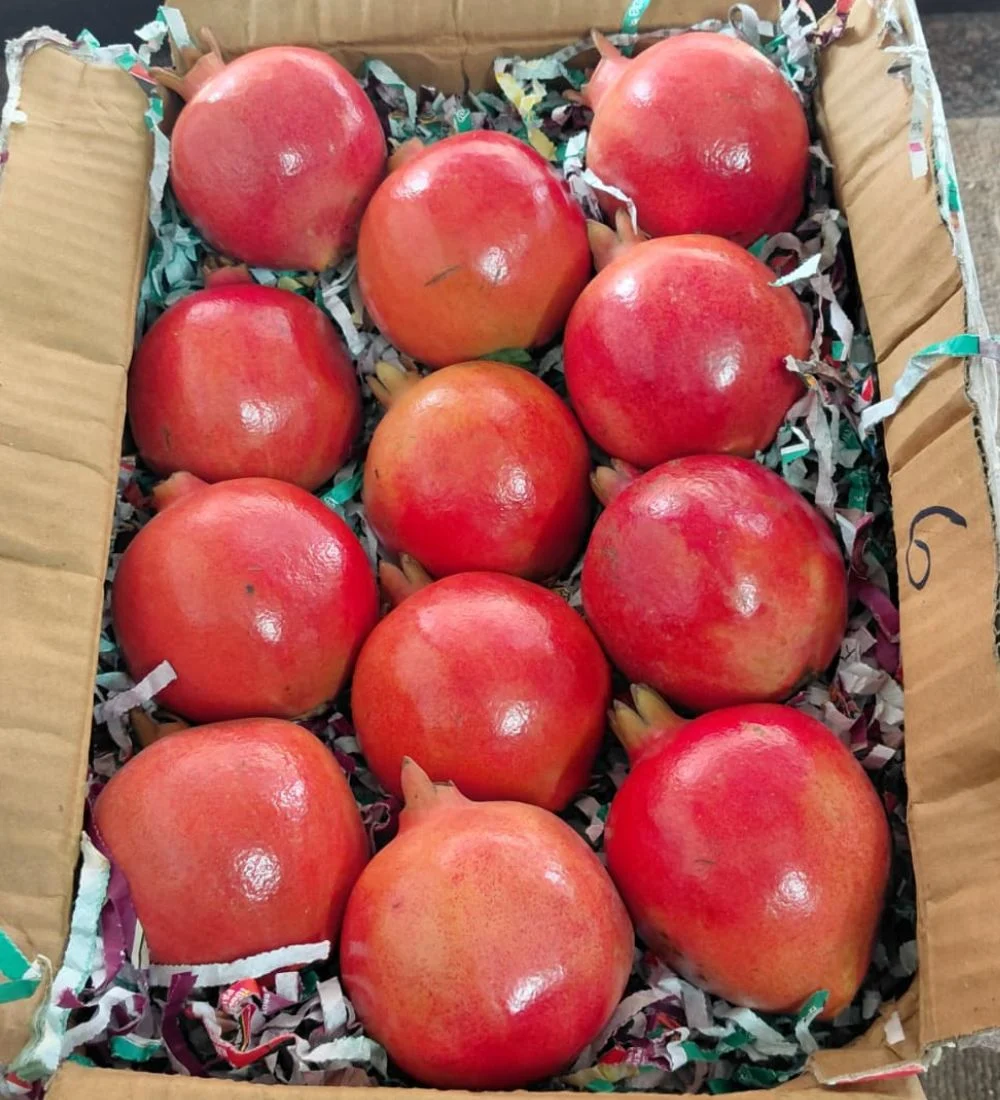 Anar – 1Kg ( Nashik Maharashtra ) - Image 3