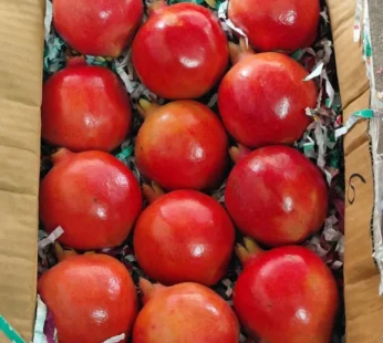 Anar – 1Kg ( Nashik Maharashtra )
