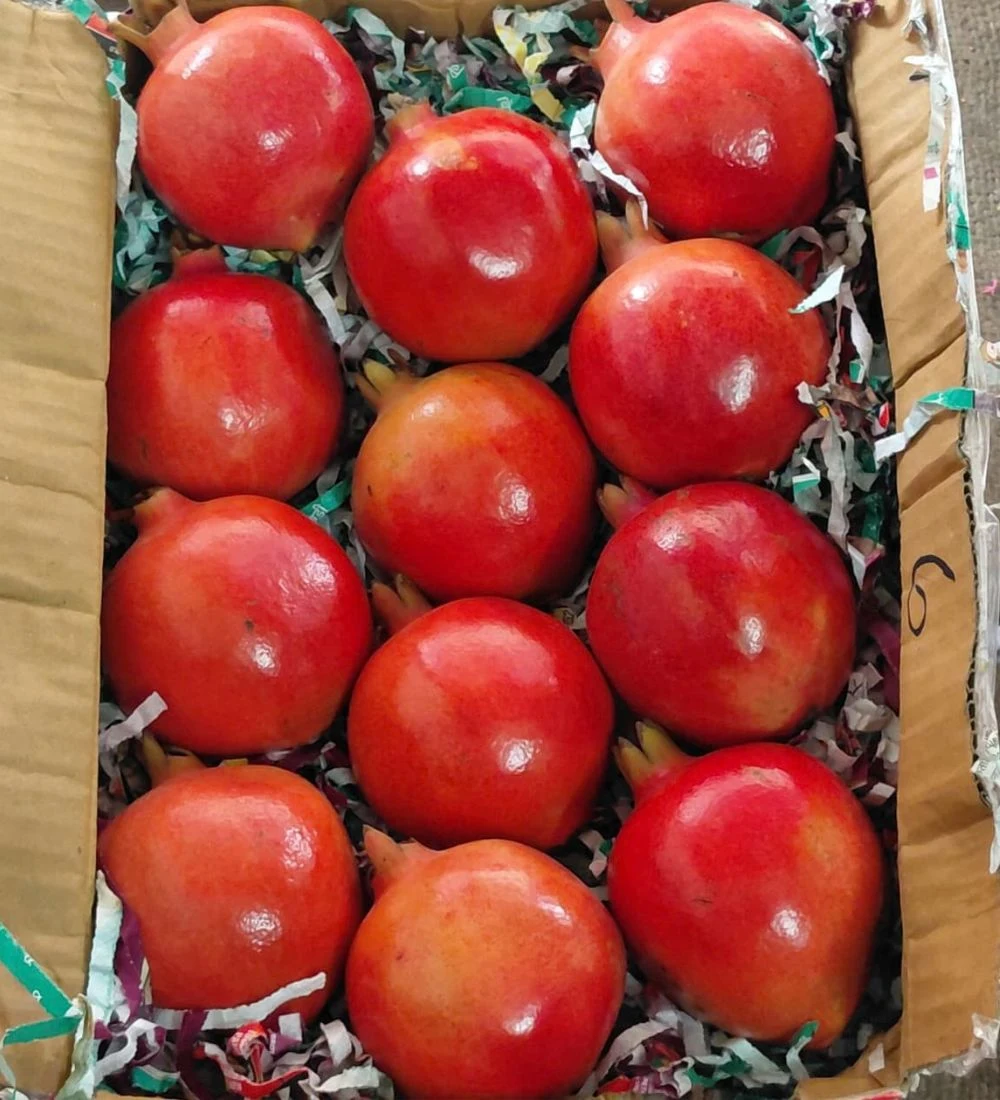 Anar – 1Kg ( Nashik Maharashtra )