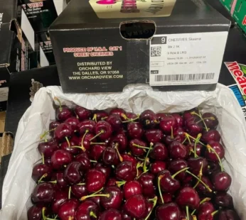 cherry Jumbo – ( USA )