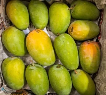 Kesar Mango – 5 kg Box