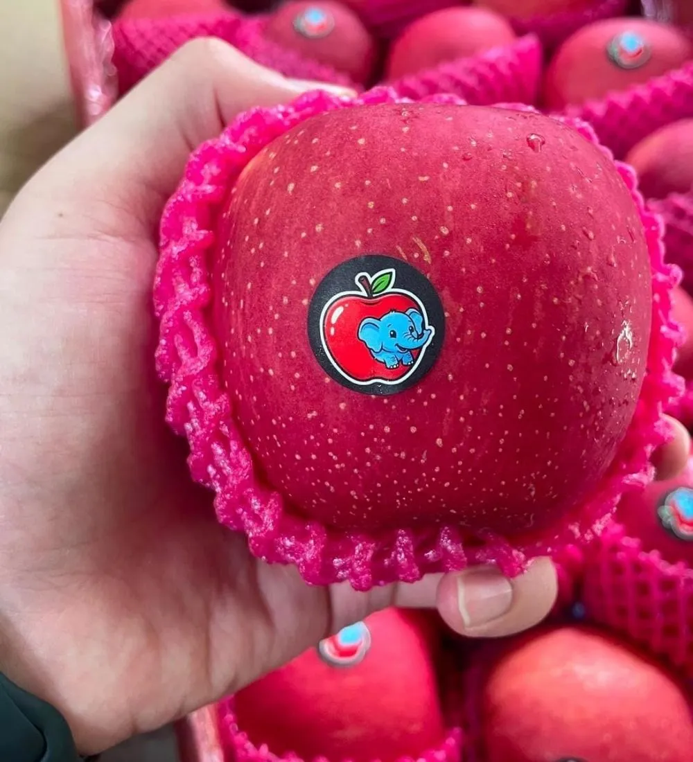 Fuji Thai Apple - 1kg - Image 2