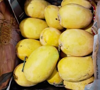 Kesar Mango – 6 kg Box