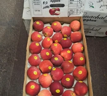 Himachal Gala Apple – 10kg Box