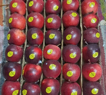 Himachal Gala Apple ( Medium )