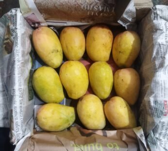 Kesar Mango – 1kg