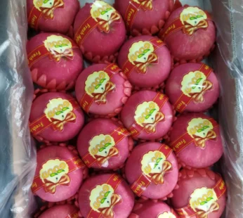 Japan Fuji Premium Box – 5kg