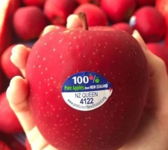 New zealand Queen Apple -9KG