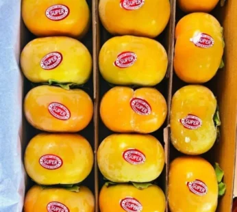 Persimmon Fruit – 5 Pcs