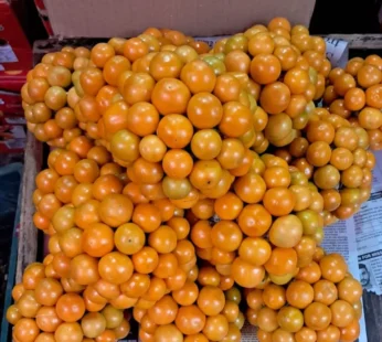 Rashbharii – 1kg (Bangalore)