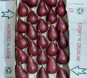 Red pear – Himachal
