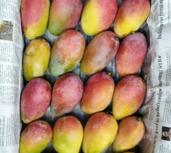 Surkha Senduri Mango – 9kg Box