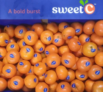 mini orange (seedless)