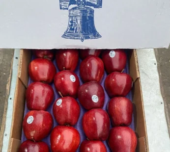 Washington Apple – 10kg