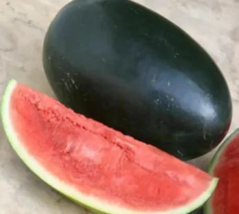 Red  Watermelon – 1Pcs