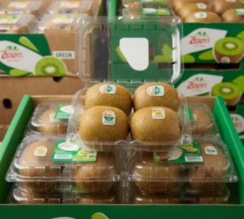 kiwi Zespri Green (New Zealand)