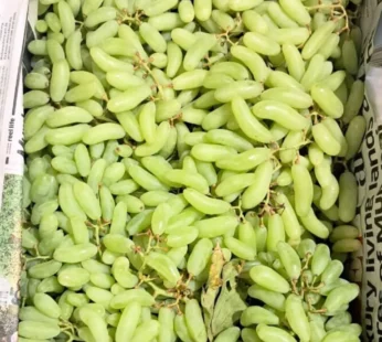 Green grapes – 1kg