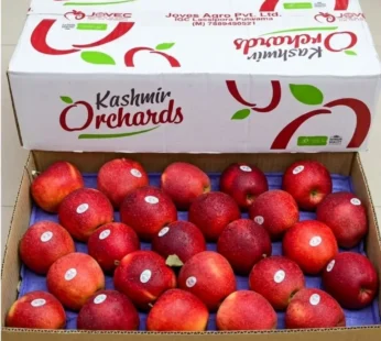 Gala Apple – 10kg Box ( kashmir )