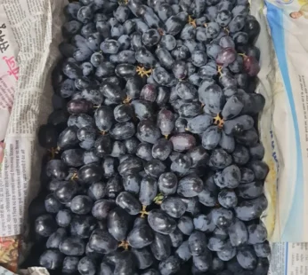 Black grapes – 1kg