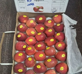 Himachal Gala Apple