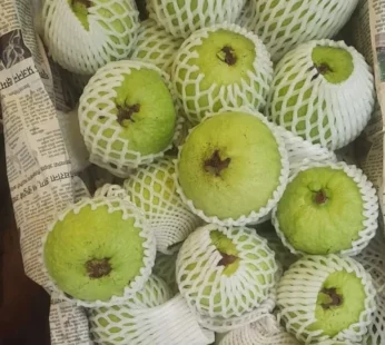 VNR  Guava – 1kg