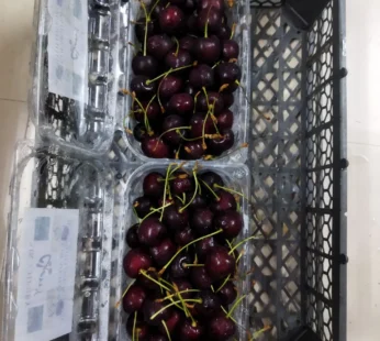 Kabul Cherry ( Afganistan )