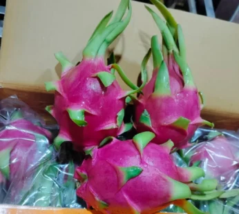 Dragon Fruit – Full Box 9kg