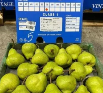 imported Babughosa – 1kg