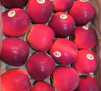 italy queen apple – 9kg