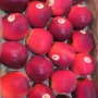 italy queen apple - 1 kg