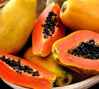 Papaya