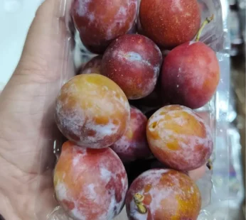 sugar Prune Plum