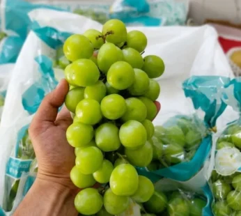 Candy Grapes – 1 kg ( Jumbo )