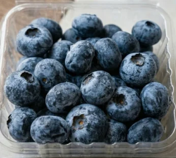 Blueberry – full box