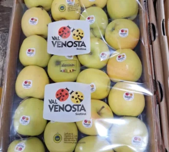 Italy Golden Apple – 1kg