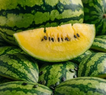 Yellow Watermelon