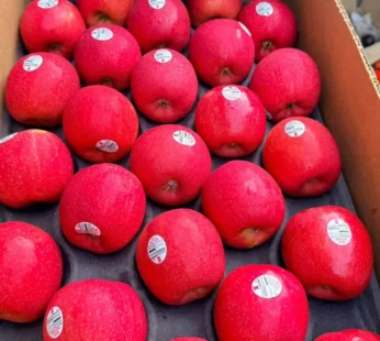 pink lady apple (washington)- 1kg